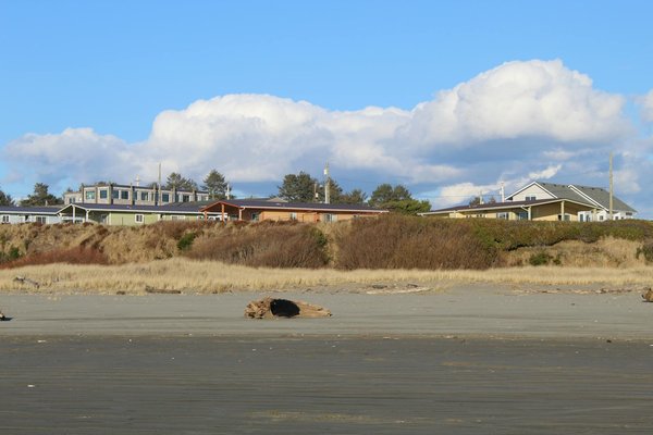 Quels sont les meilleurs spots pour faire de la plongée avec les requins à la Réunion?